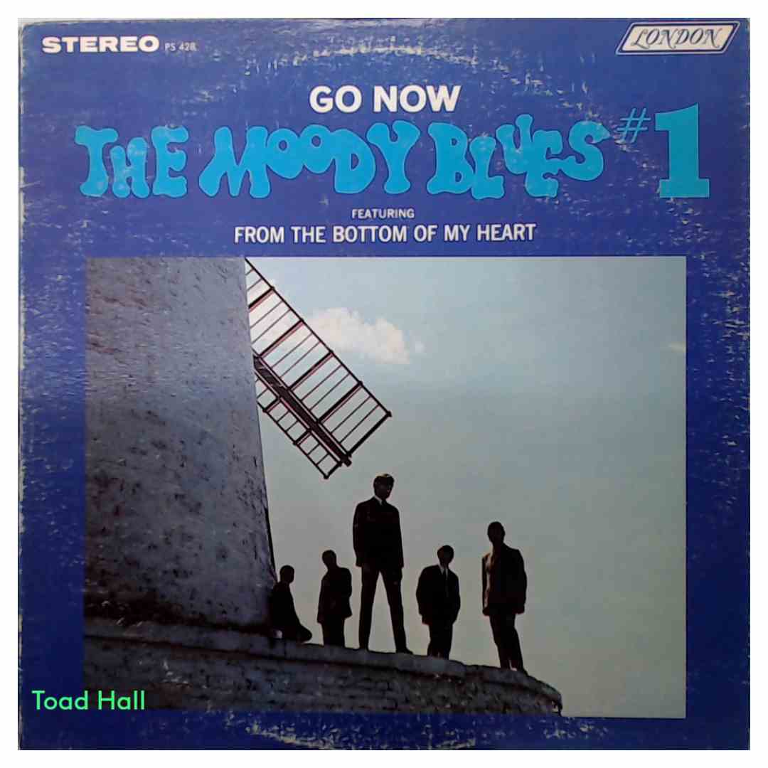 The Moody Blues - Go Now - Used Vinyl