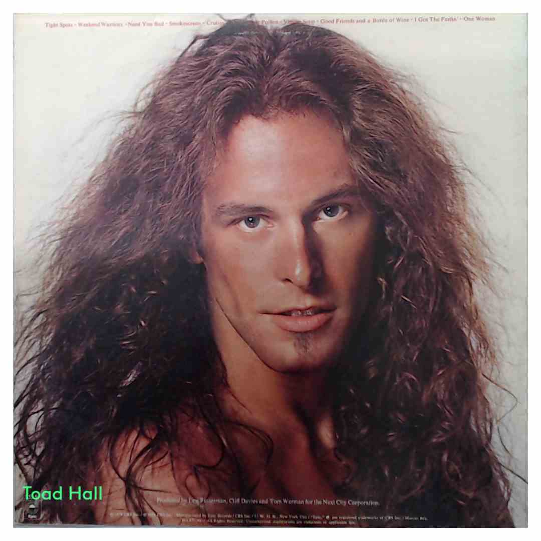 Ted Nugent  Weekend Warriors  Used Vinyl LP
