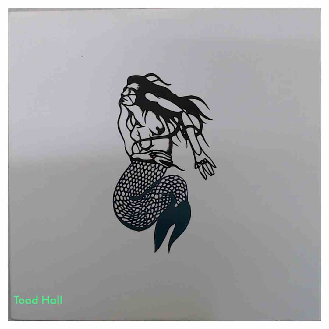 Okkervil River - Mermaid - Used Vinyl