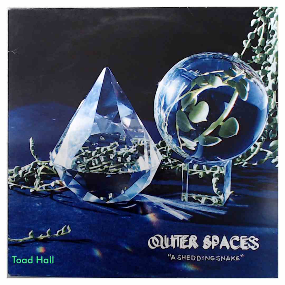 Outer Spaces - A Shedding Snake (Clear Vinyl) - Used Vinyl