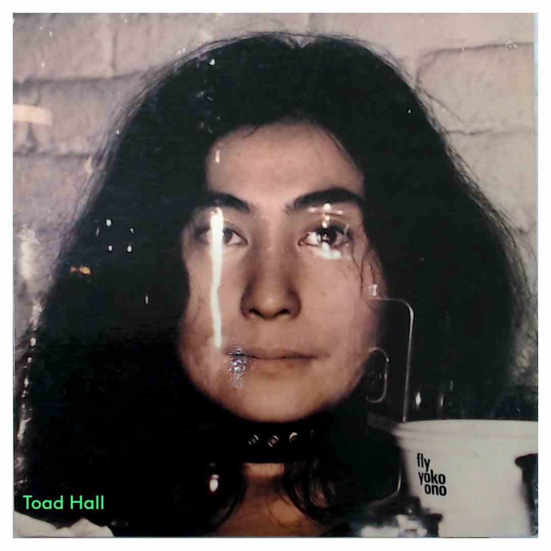 Yoko Ono - Fly - Used Vinyl