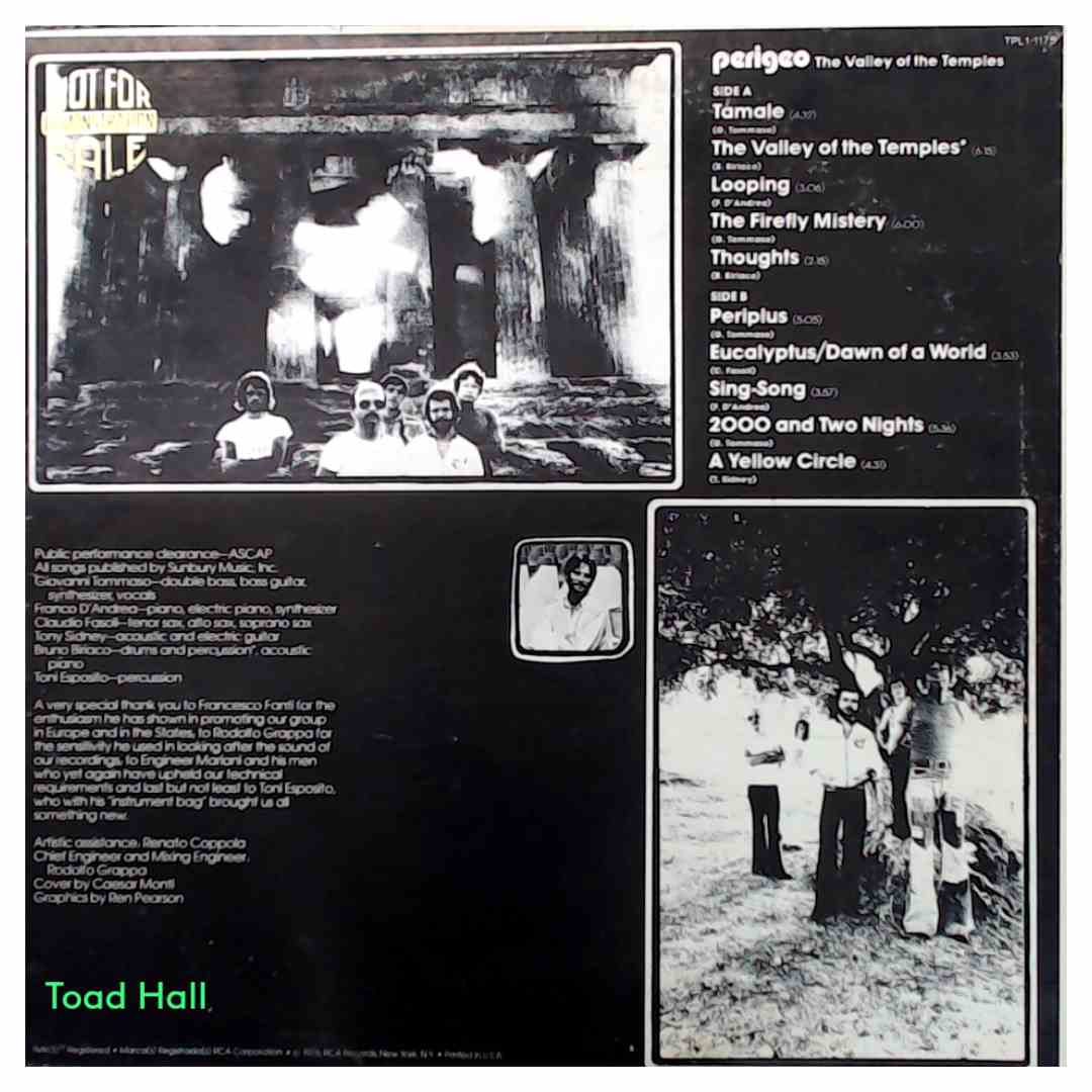 Perigeo - The Valley Of The Temples (Promo Cover) - Used Vinyl