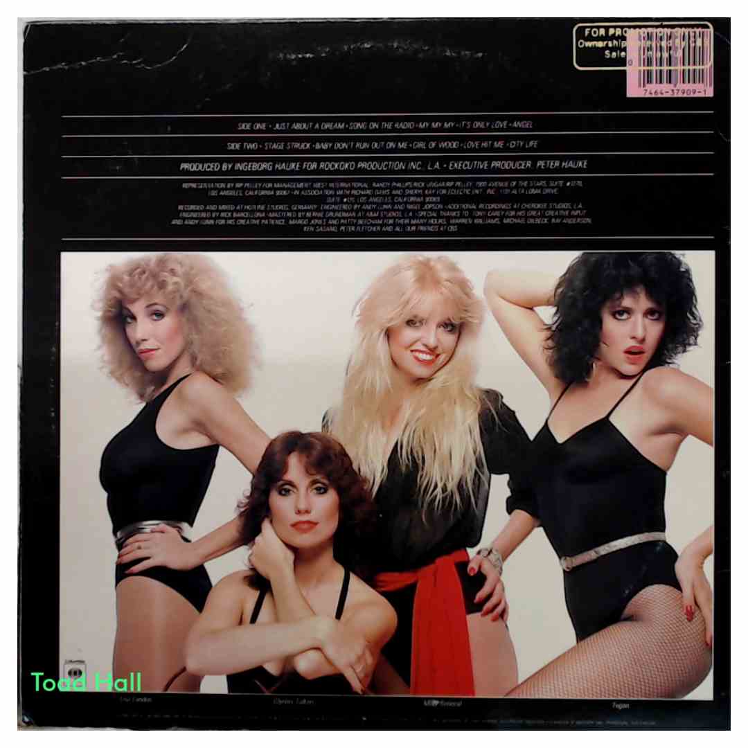 The Pinups - The Pinups (Promo Cover) - Used Vinyl