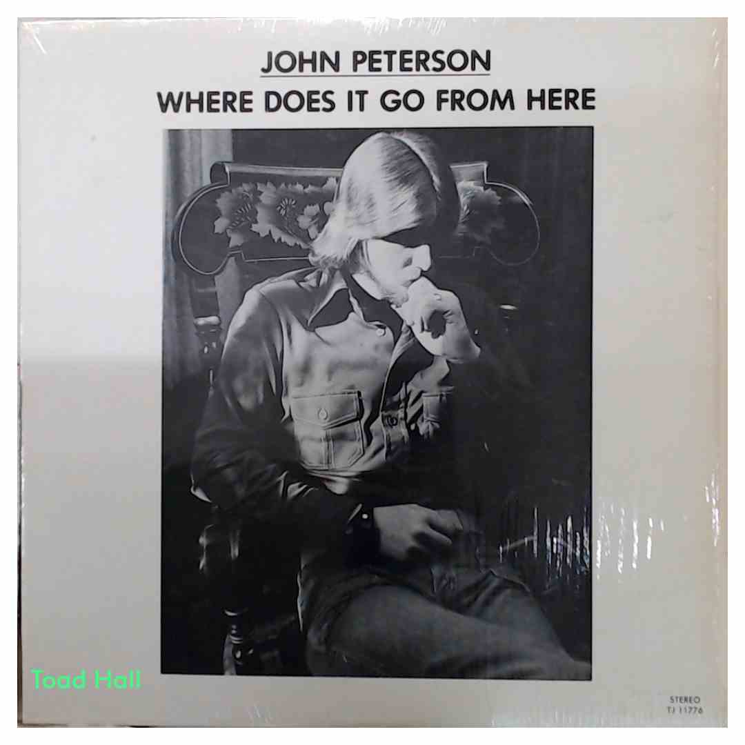 John Peterson - Where Does It Go From Here - Used Vinyl