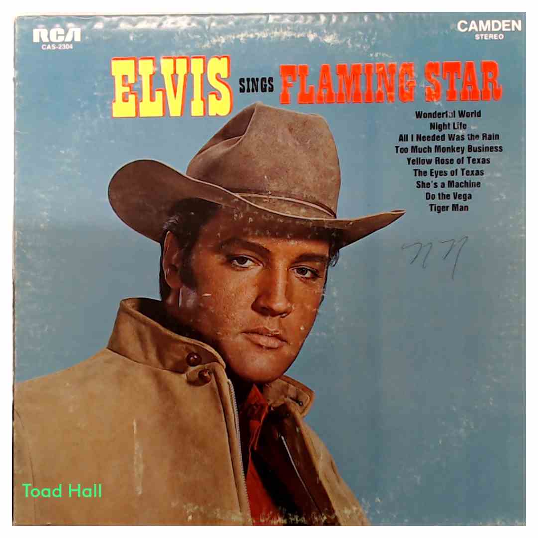 Elvis - Flaming Star - Used Vinyl