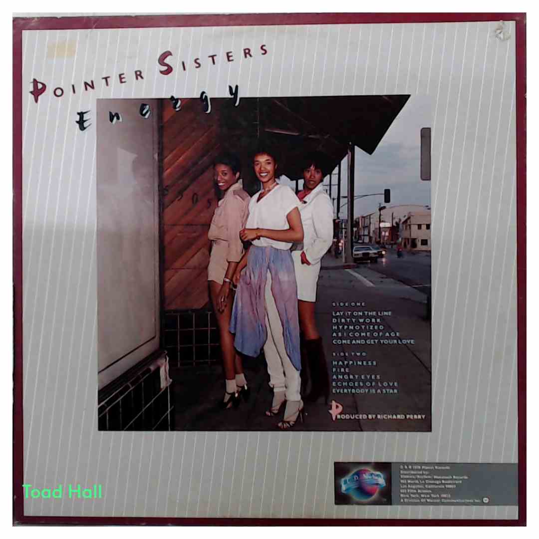 The Pointer Sisters - Energy - Used Vinyl