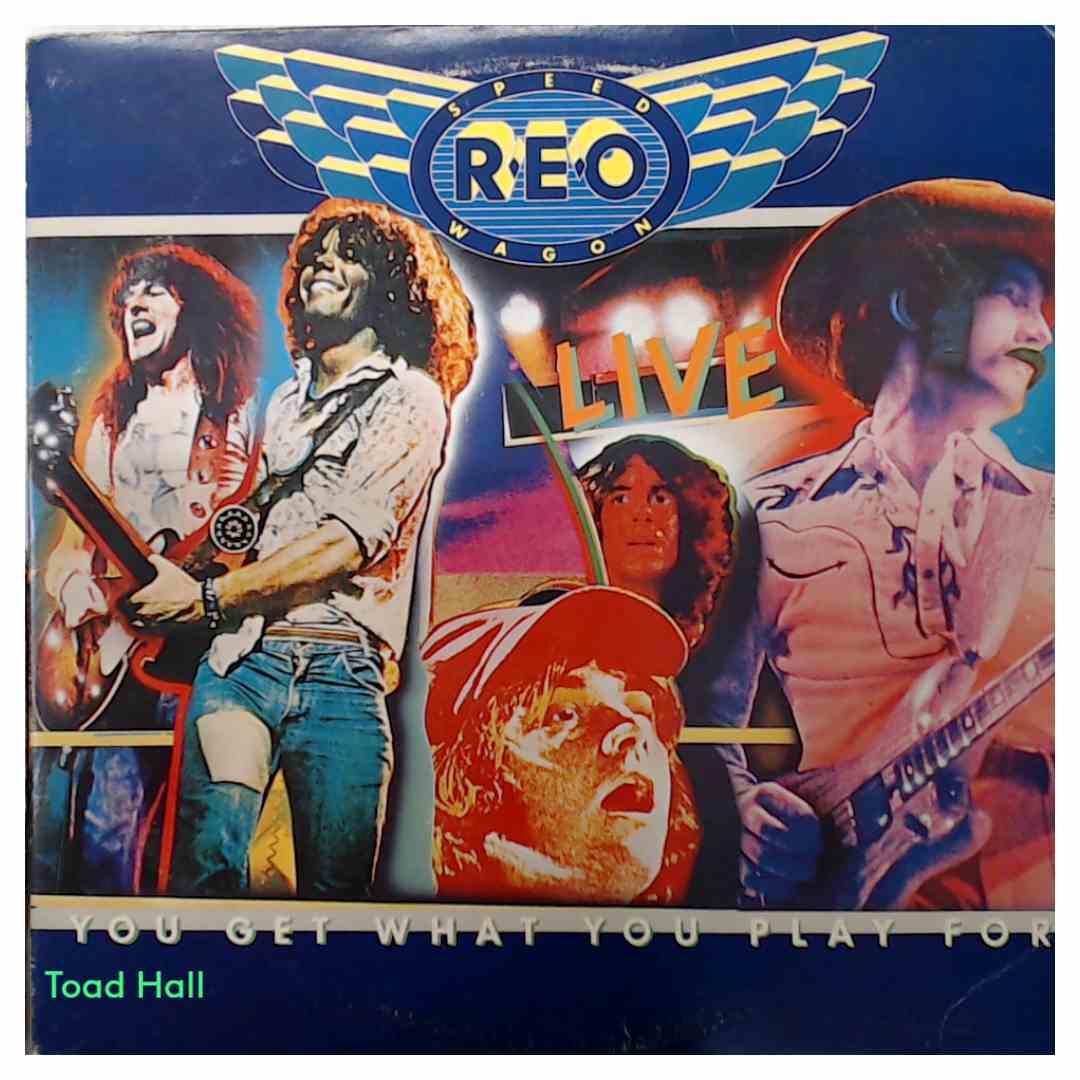 REO Speedwagon - Lost In A Dream - Used Vinyl