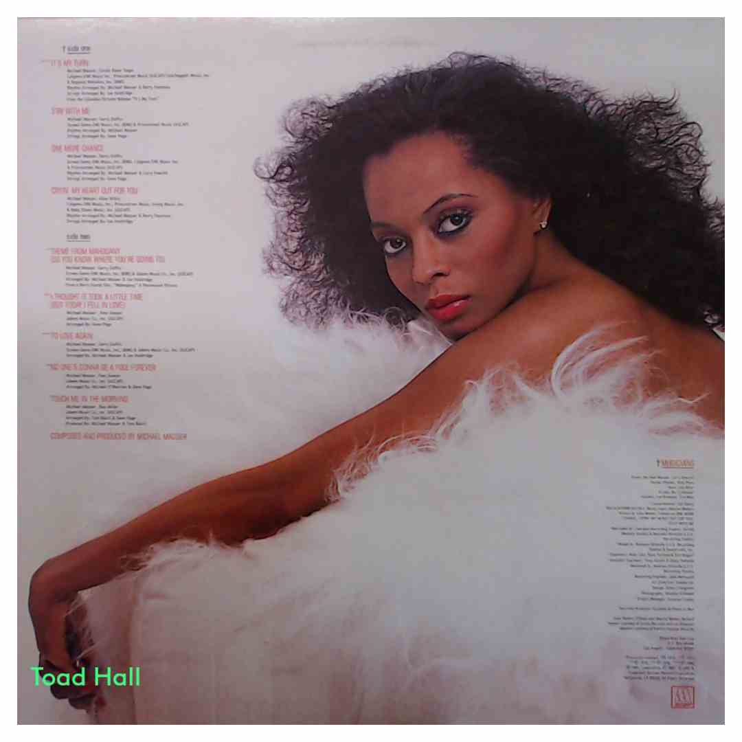 Diana Ross - To Love Again - Used Vinyl