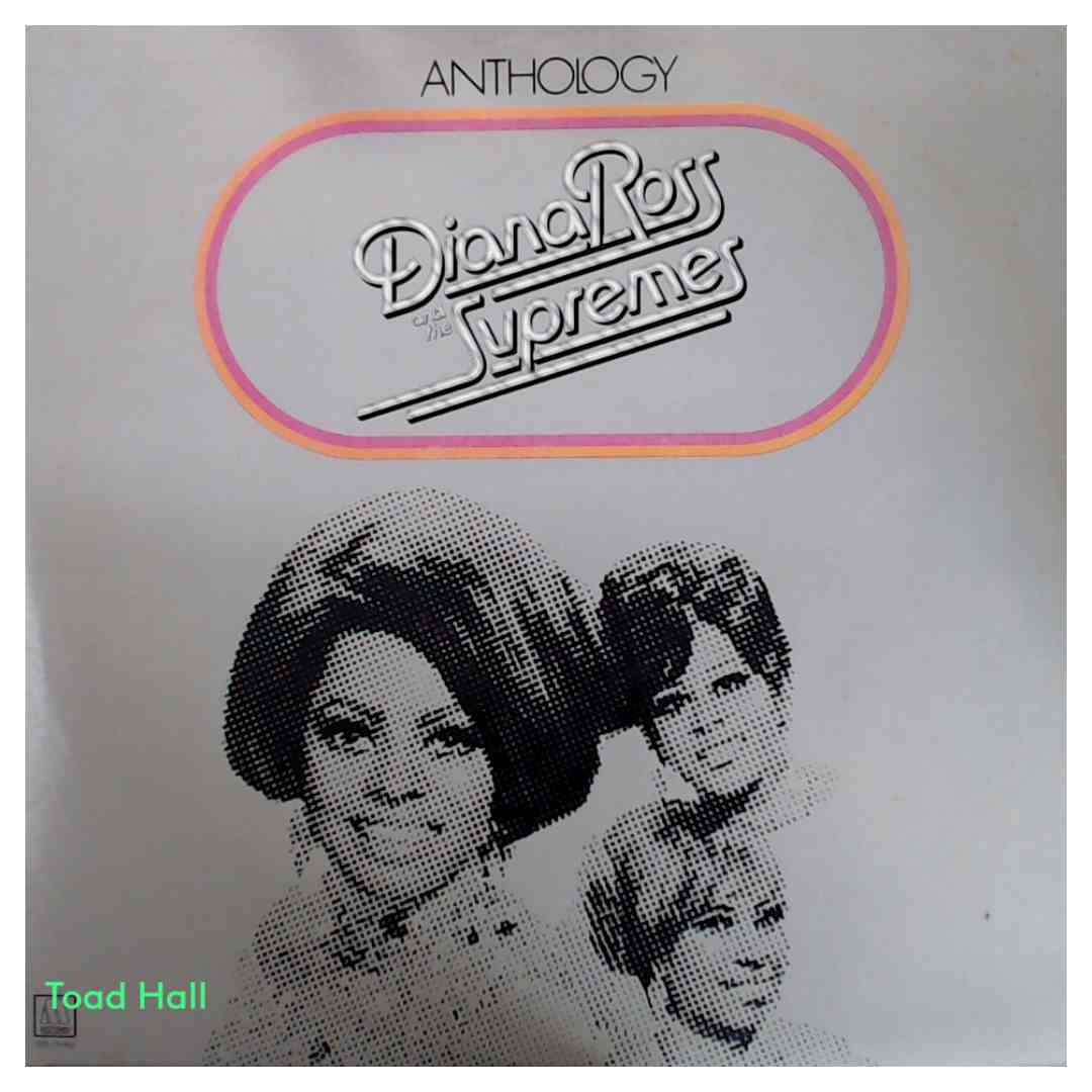 Diana Ross and the Supremes - Anthology - Used Vinyl