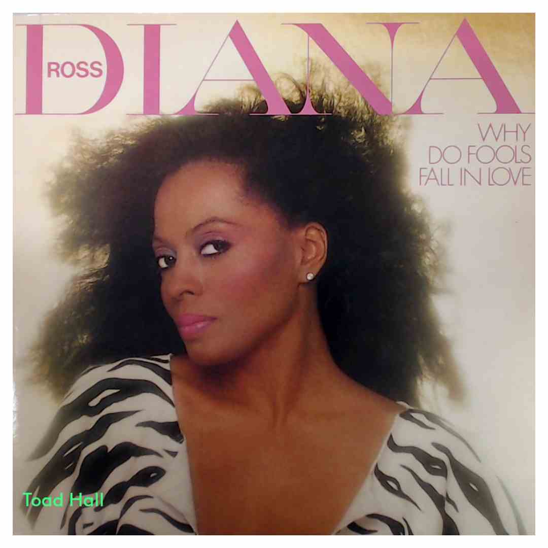 Diana Ross - Why Do Fools Fall In Love - Used Vinyl