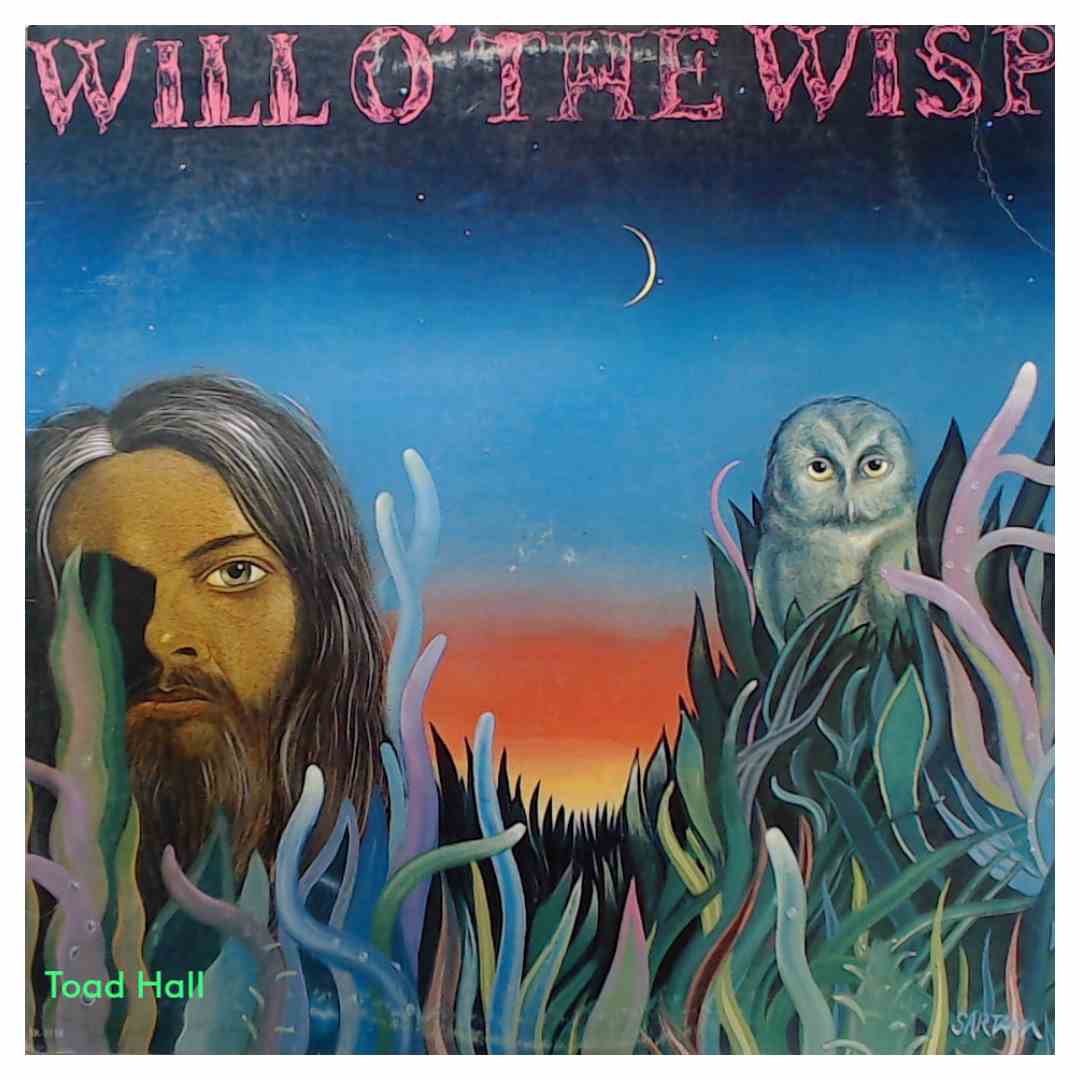 Leon Russell - Will O' The Wisp - Used Vinyl