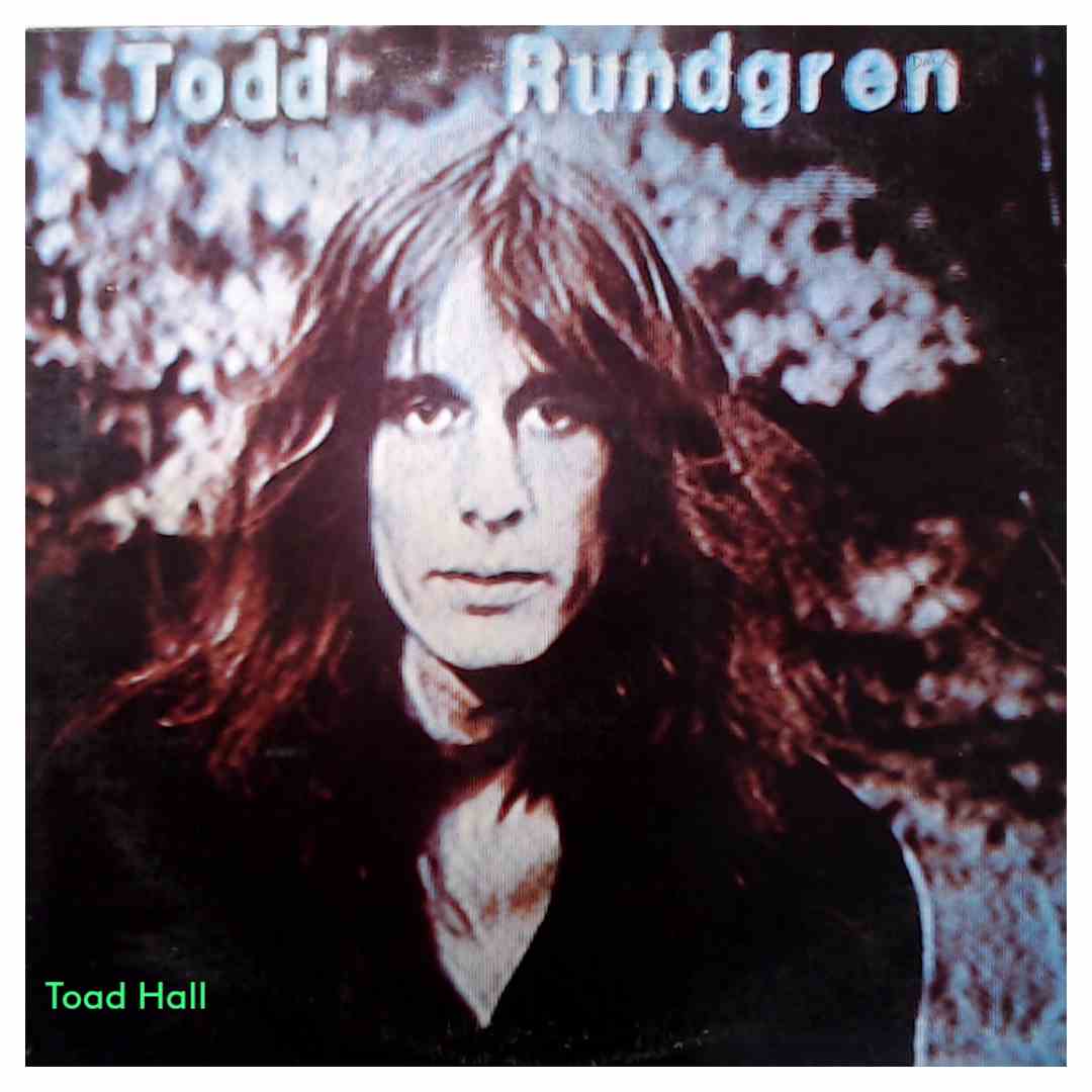 Todd Rundgren - Hermit of Mink Hollow - Used Vinyl