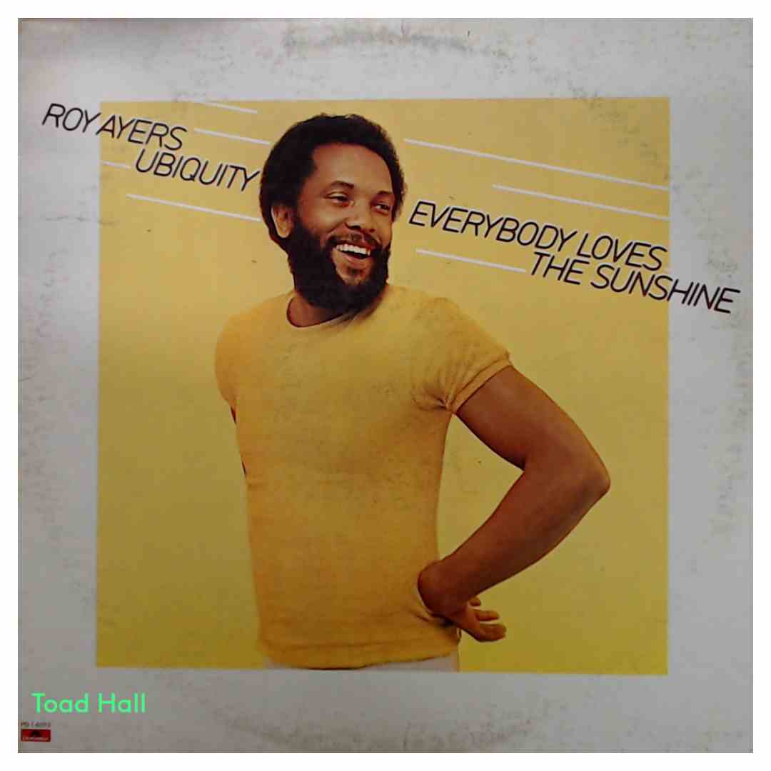 Roy Ayers Ubiquity - Everybody Loves The Sunshine - Used Vinyl