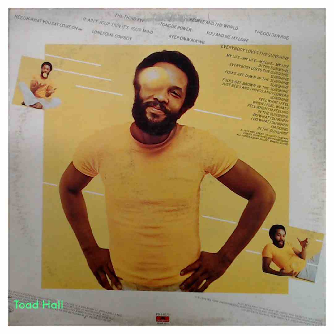 Roy Ayers Ubiquity - Everybody Loves The Sunshine - Used Vinyl