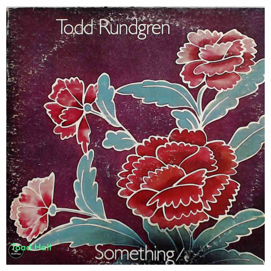 Todd Rundgren - Something/Anything? - Used Vinyl