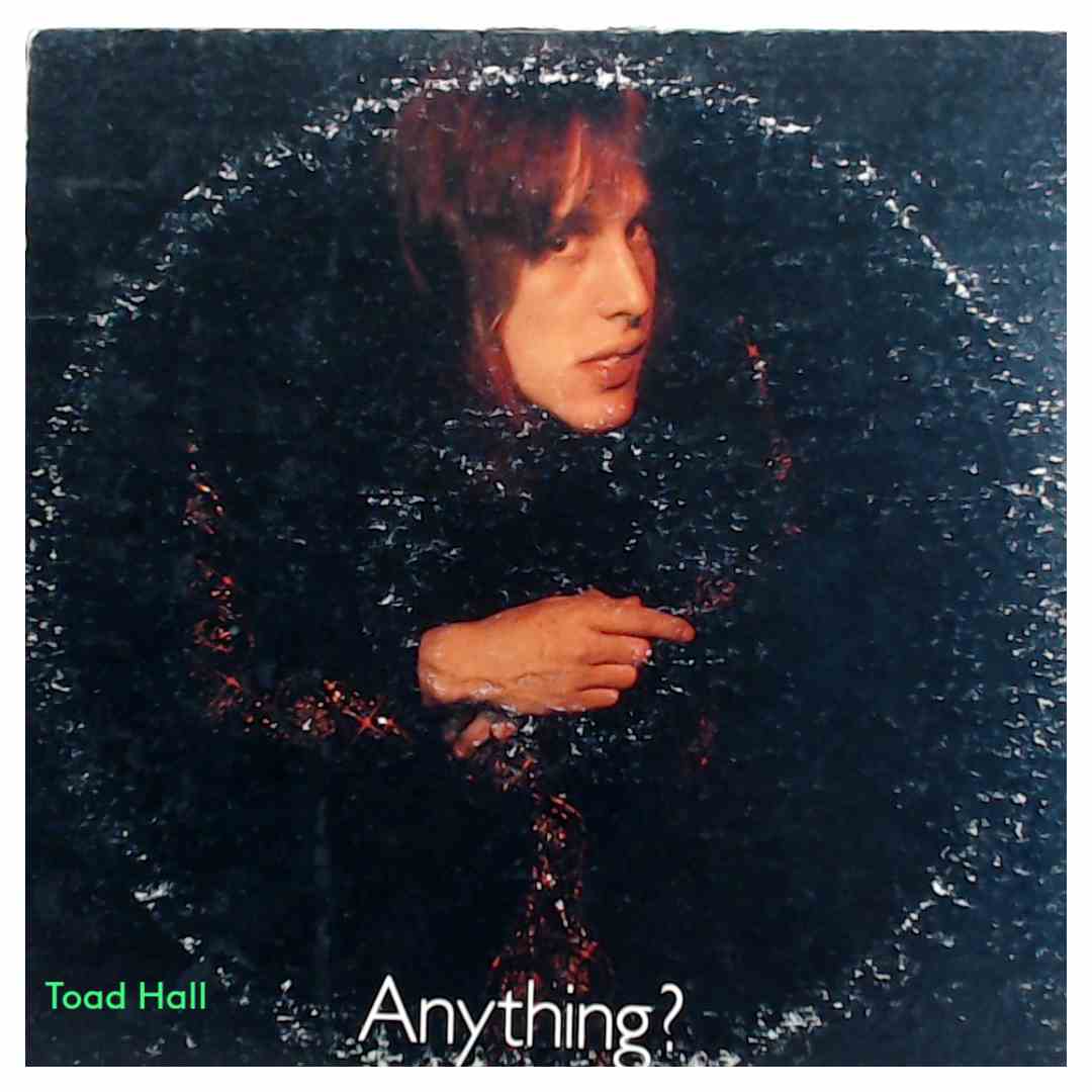 Todd Rundgren - Something/Anything? - Used Vinyl