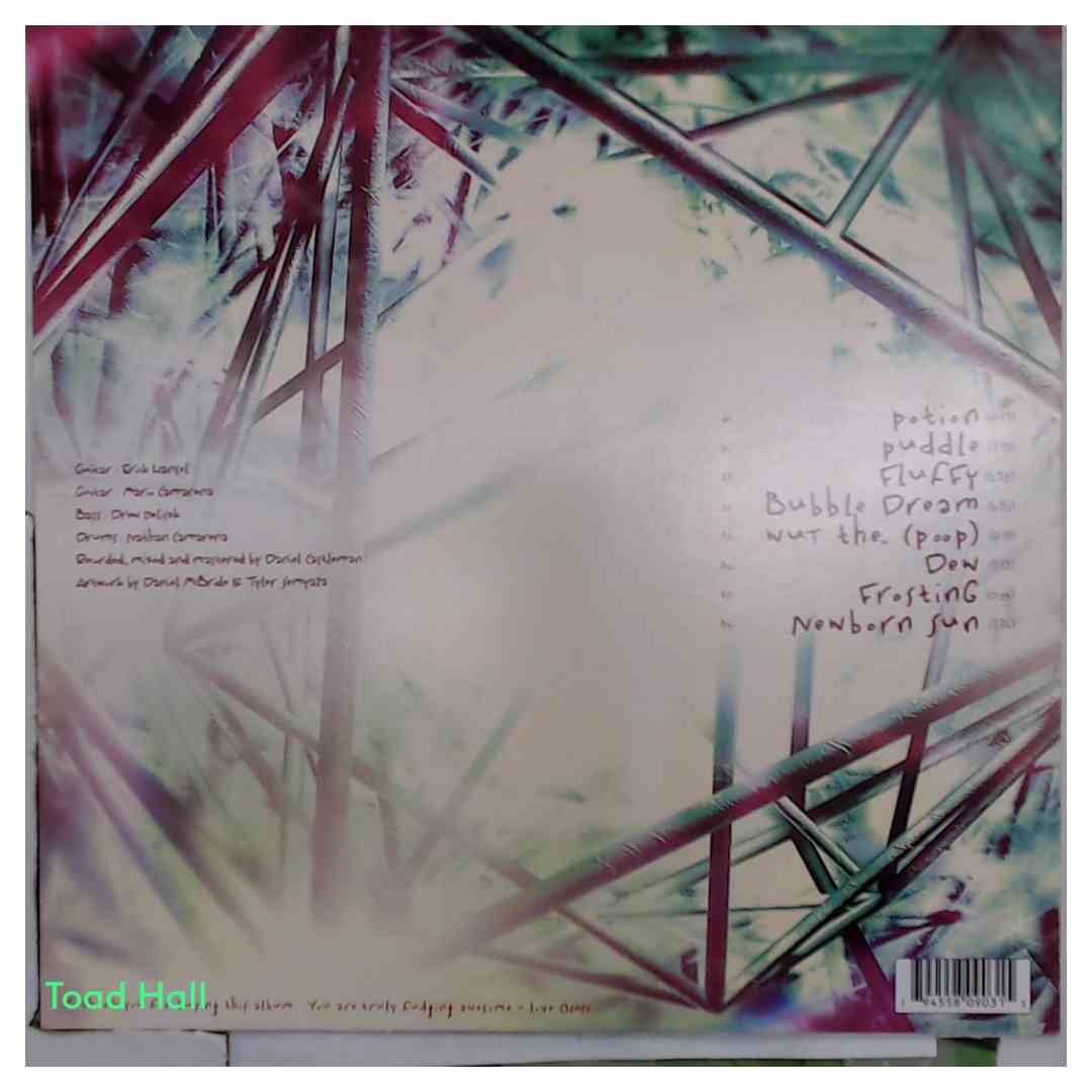 Chon - Newborn Sun (Purple Transparent Vinyl) - Used Vinyl