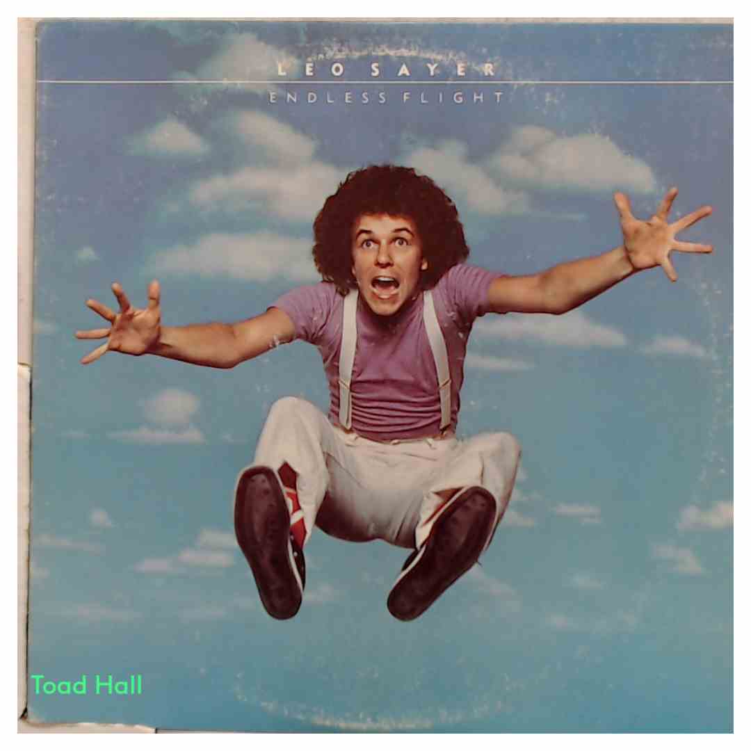 Leo Sayer - Endless Flight - Used Vinyl