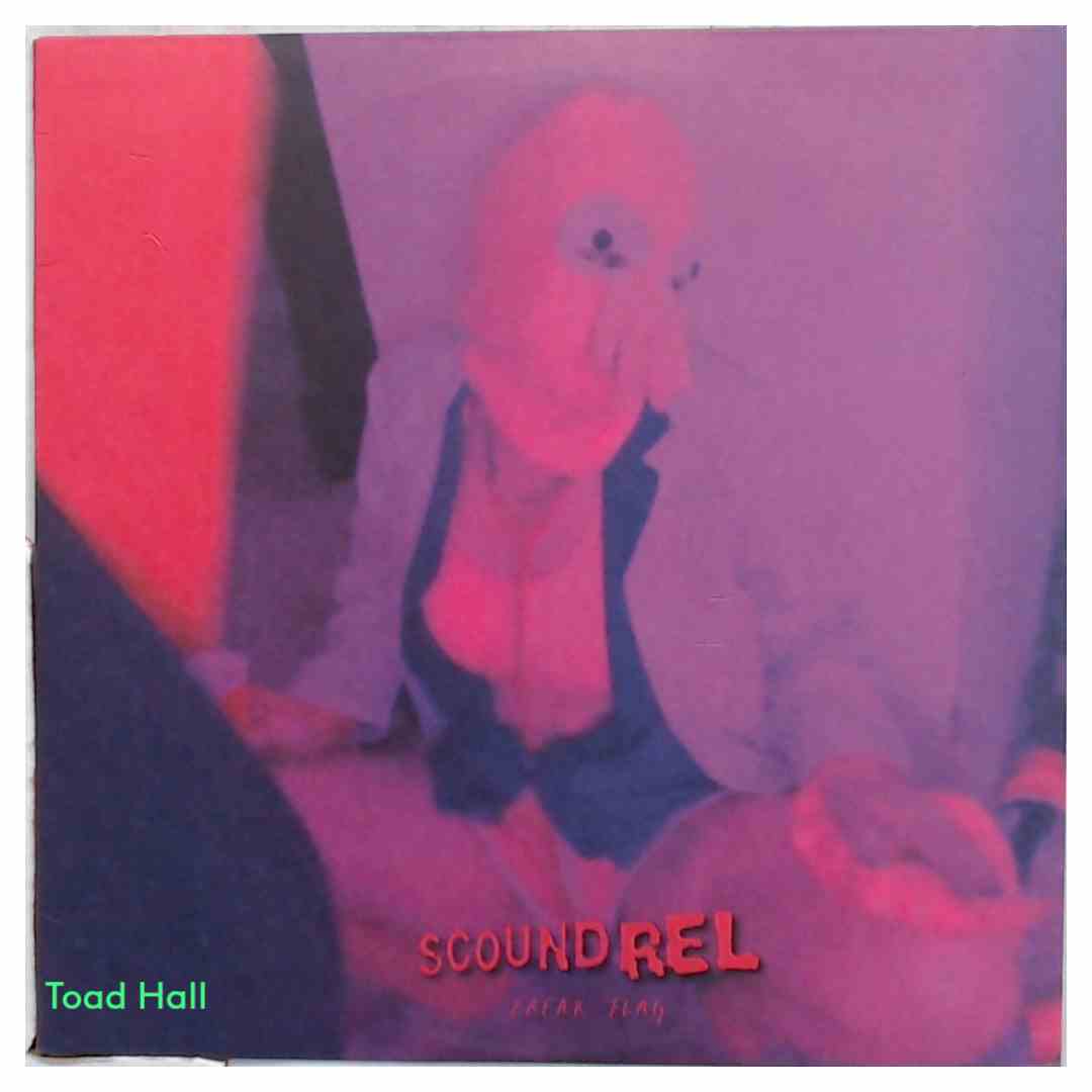 Scoundrel - Freak Flag (Clear Vinyl) - Used Vinyl