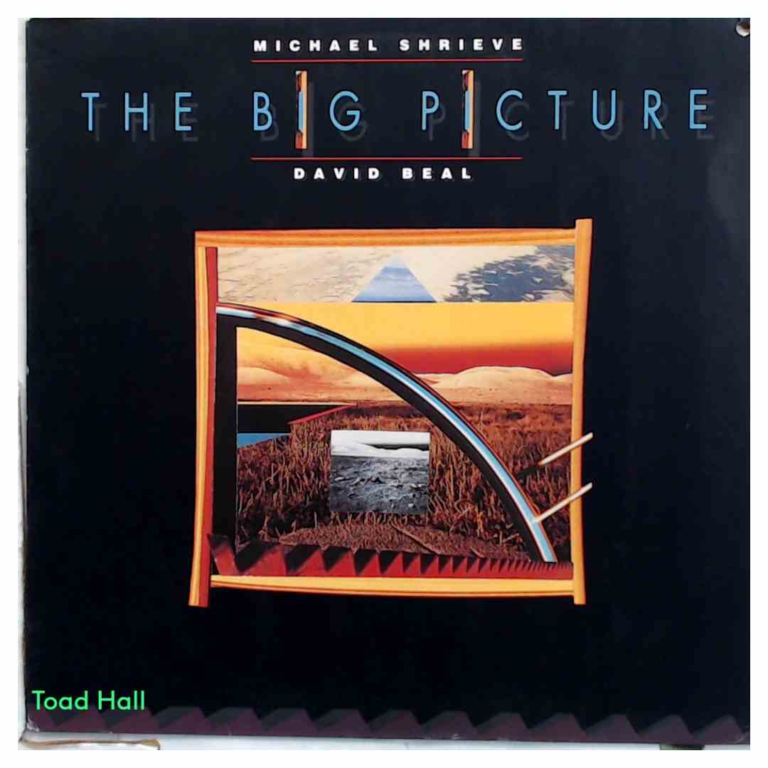 Michael Shrieve - The Big Picture - Used Vinyl