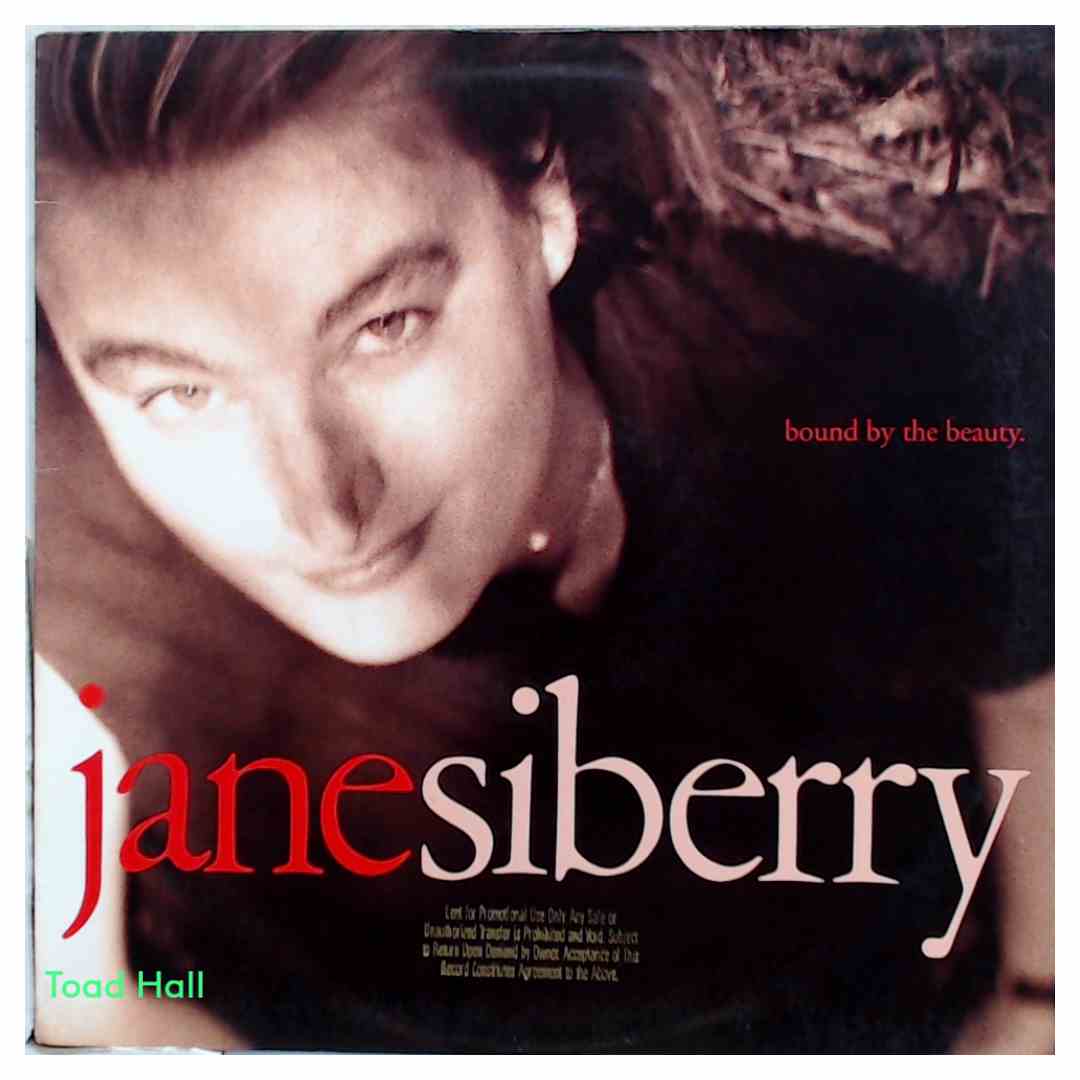 Jane Siberry - Bound By The Beauty (Promo Cover) - Used Vinyl