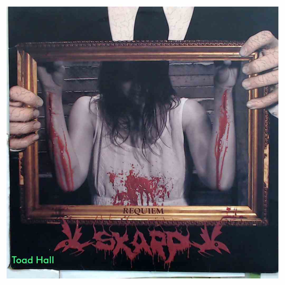 Skarp - Requiem - Used Vinyl