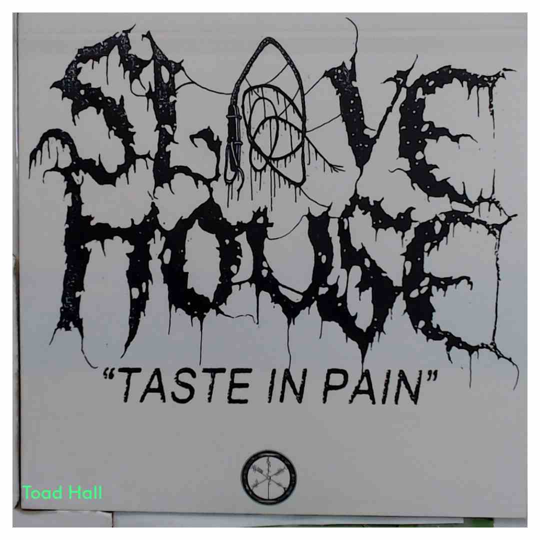Slavehouse - Taste In Pain (Clear Vinyl) - Used Vinyl
