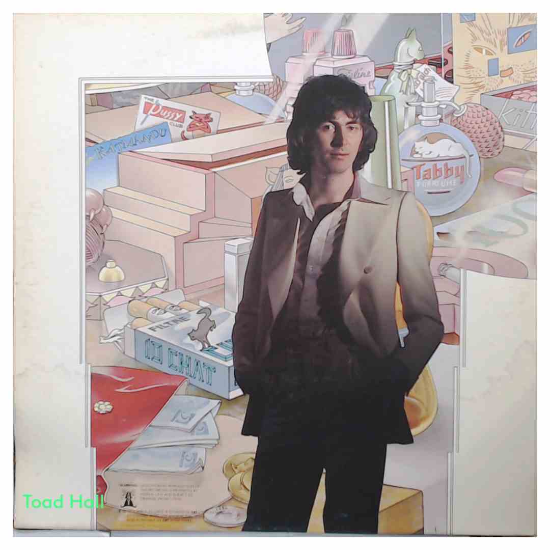 Al Stewart - Year Of The Cat - Used Vinyl