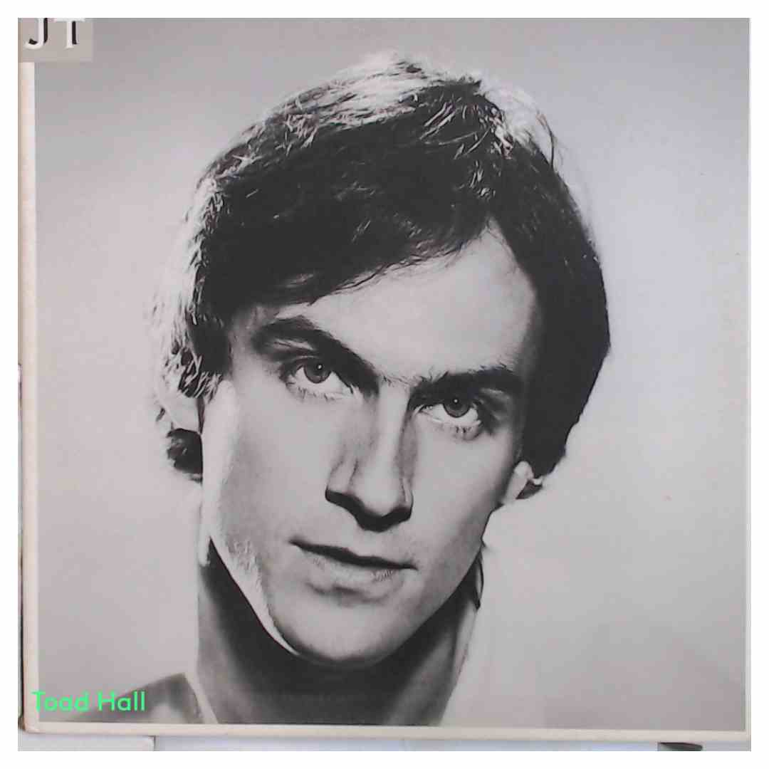 JAMES TAYLOR JT Used Vinyl LP