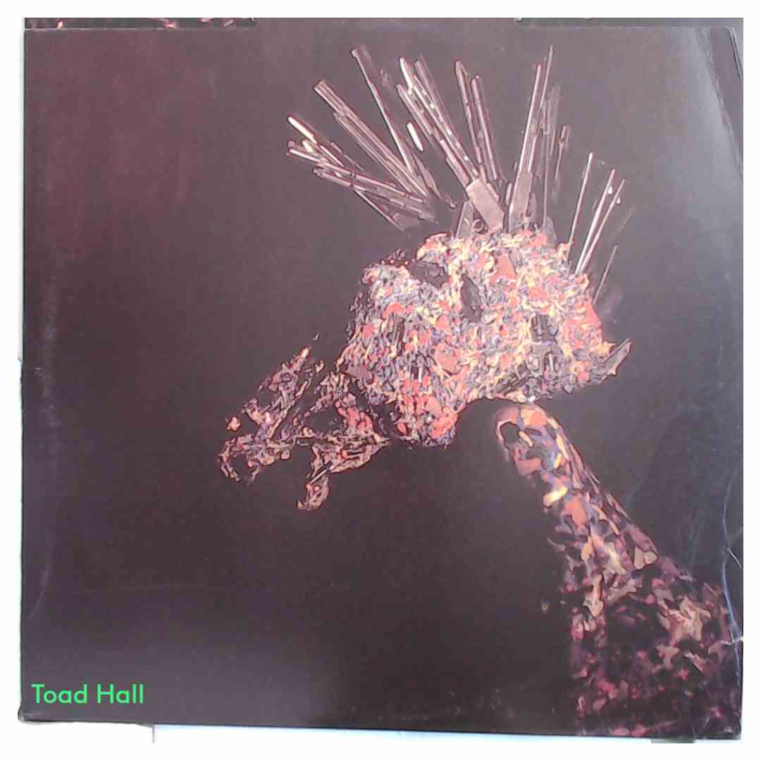 TEST DEPT The Unacceptable Face Of Freedom Used Vinyl LP