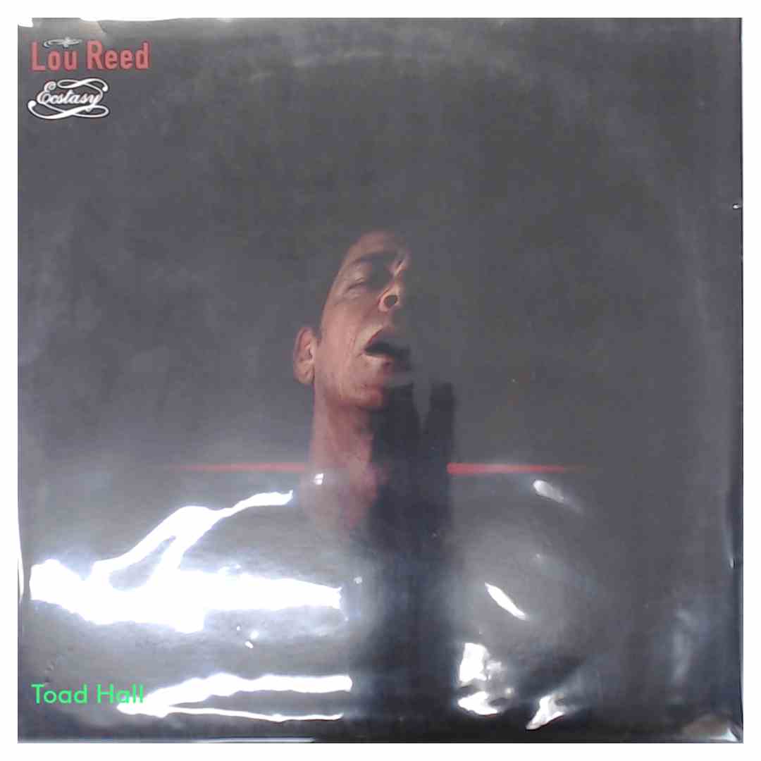 LOU REED Ecstasy Used Vinyl 2 LP