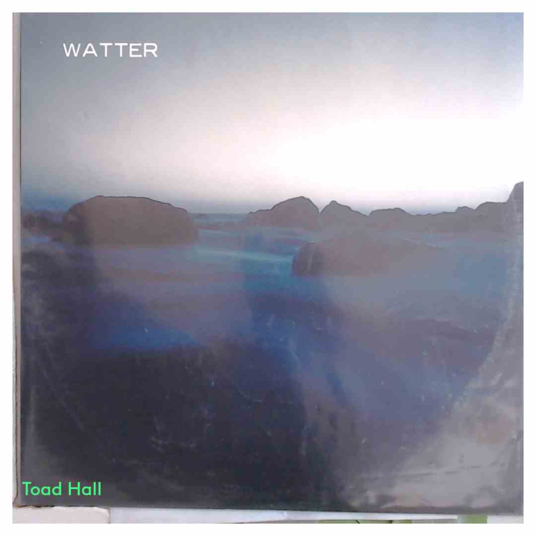 WATTER This World Used Vinyl LP