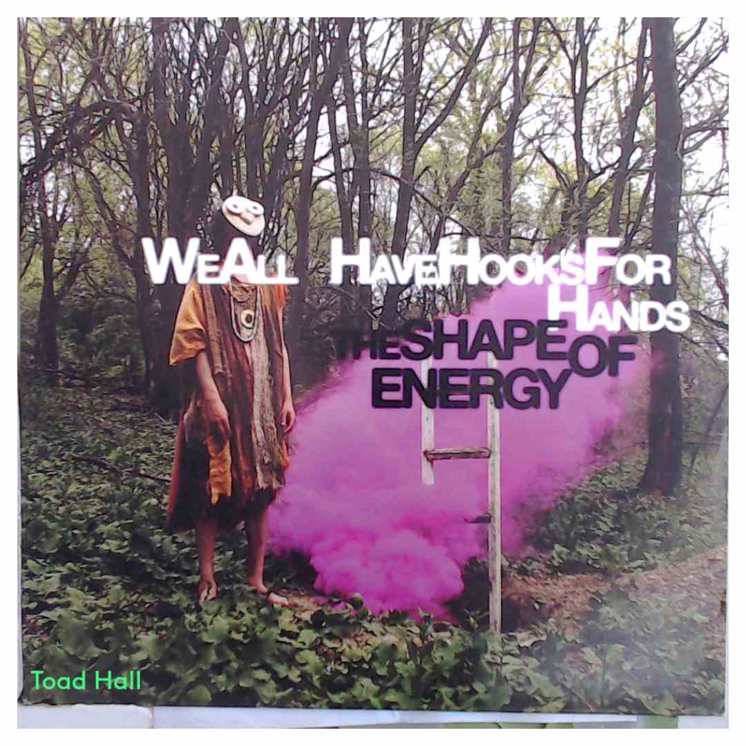 WE ALL HAVE HOOKS FOR HANDS The Shape Of Energy Used Vinyl LP