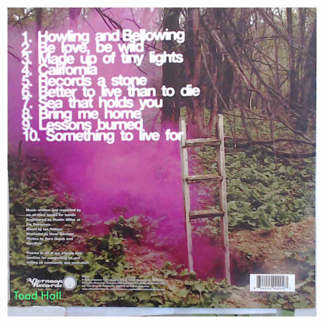 WE ALL HAVE HOOKS FOR HANDS The Shape Of Energy Used Vinyl LP
