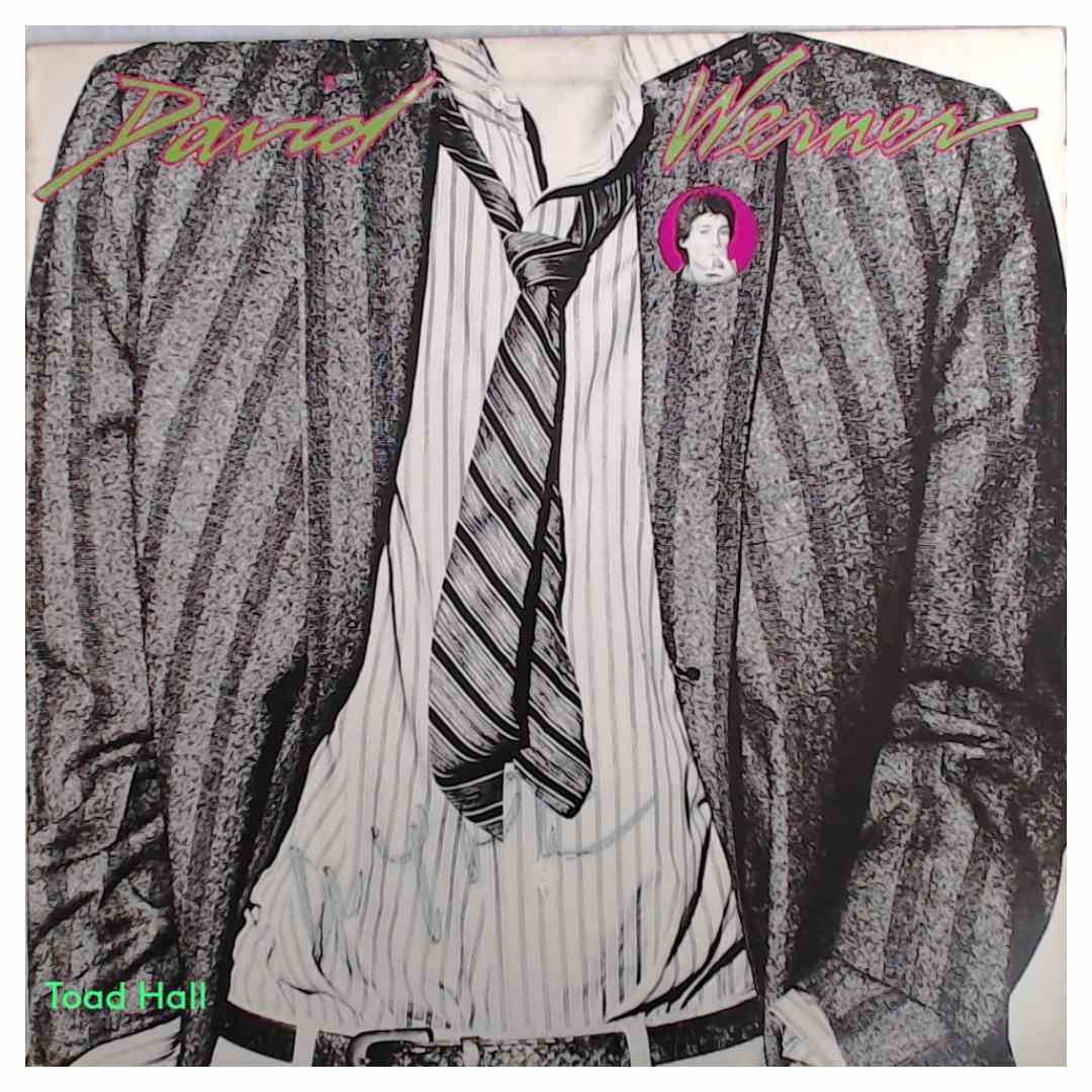 DAVID WERNER Self Titled Used Vinyl LP