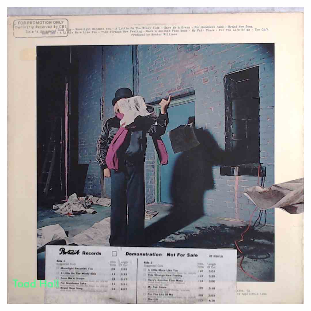 PAUL WILLIAMS A Little On The Windy Side Promo Used Vinyl LP