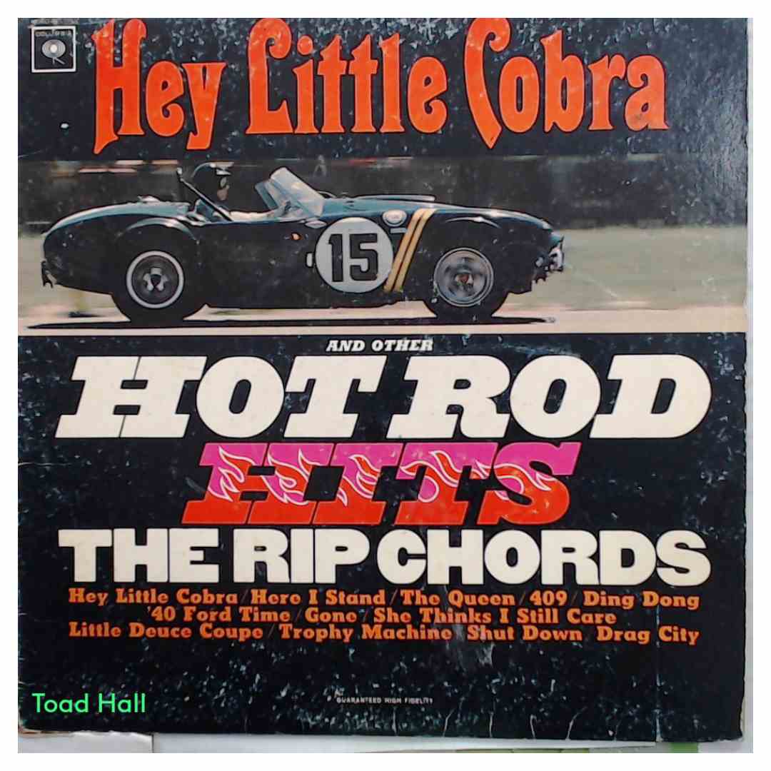 THE RIP CHORDS Hey Little Cobra Used Vinyl LP