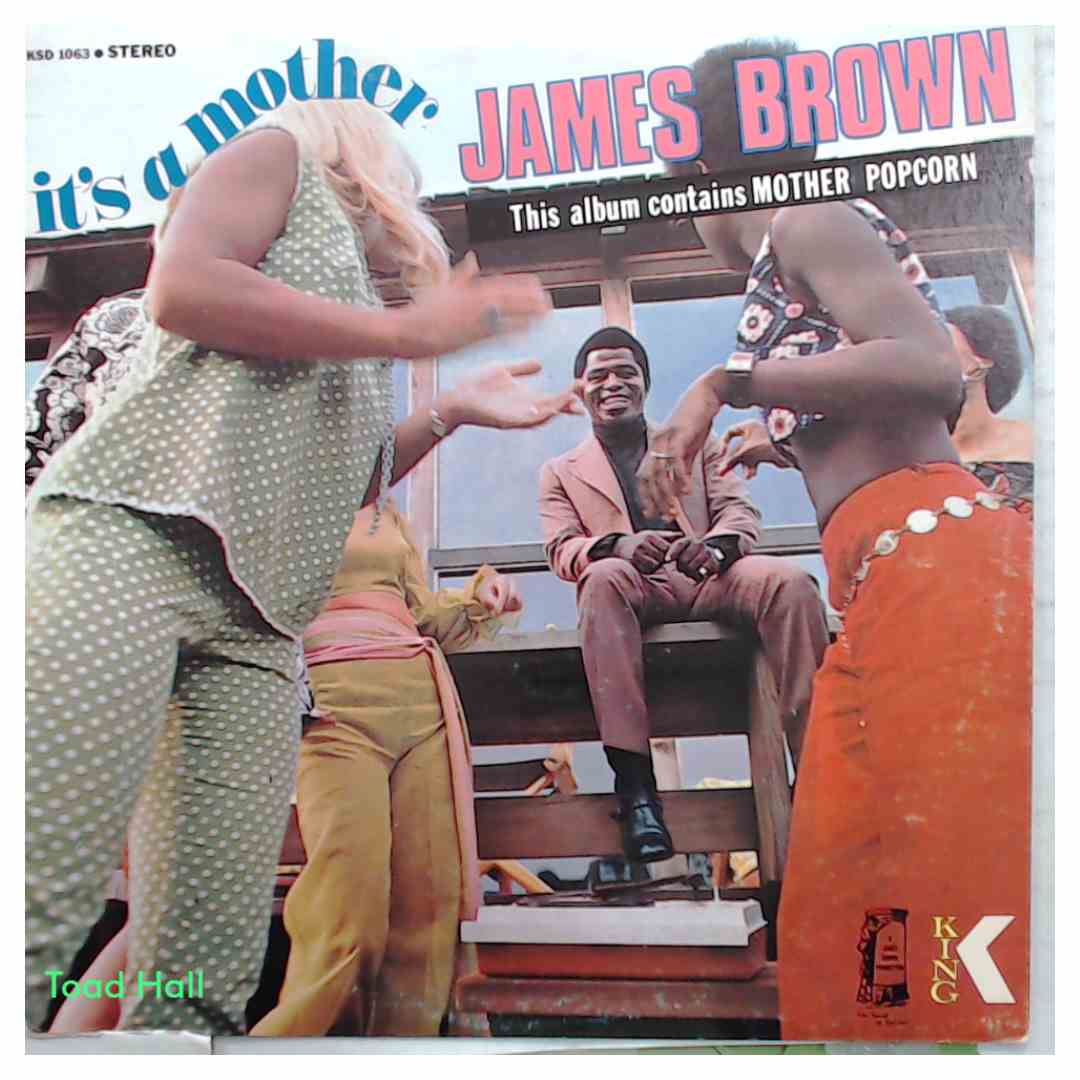 JAMES BROWN It's A Mother Used Vinyl LP