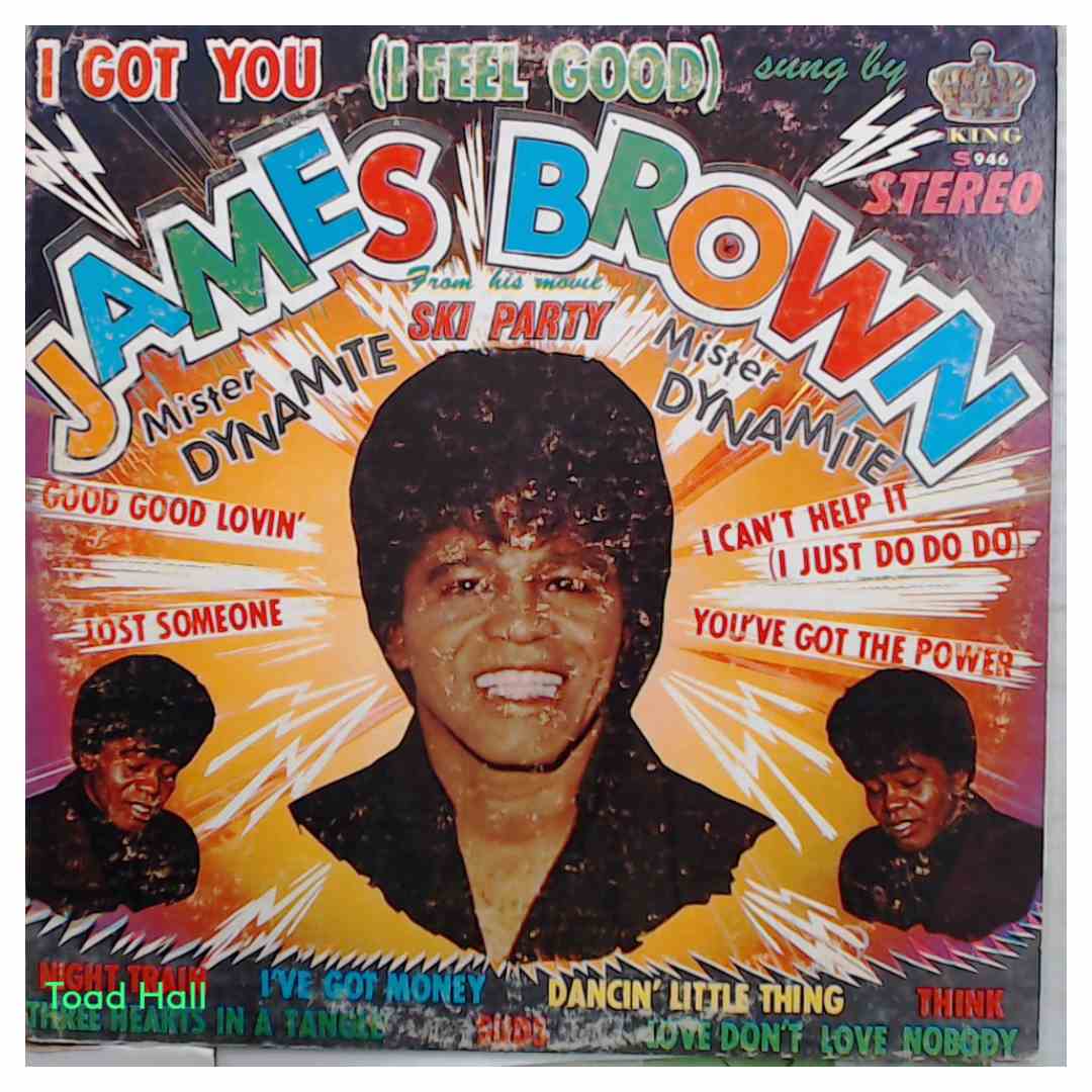 JAMES BROWN I Got You Used Vinyl LP