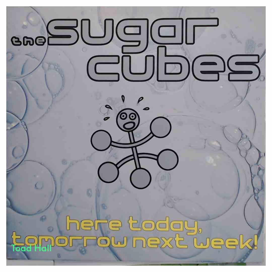 THE SUGAR CUBES Here Today, Tomorrow Next Week! Used Vinyl LP