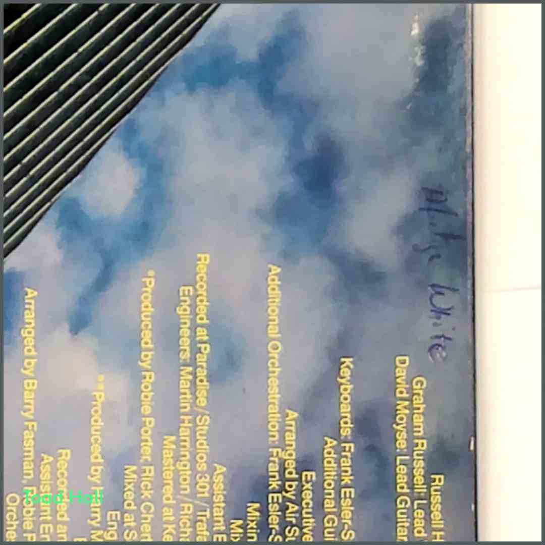 AIR SUPPLY Lost In Love Used Vinyl LP AL9530