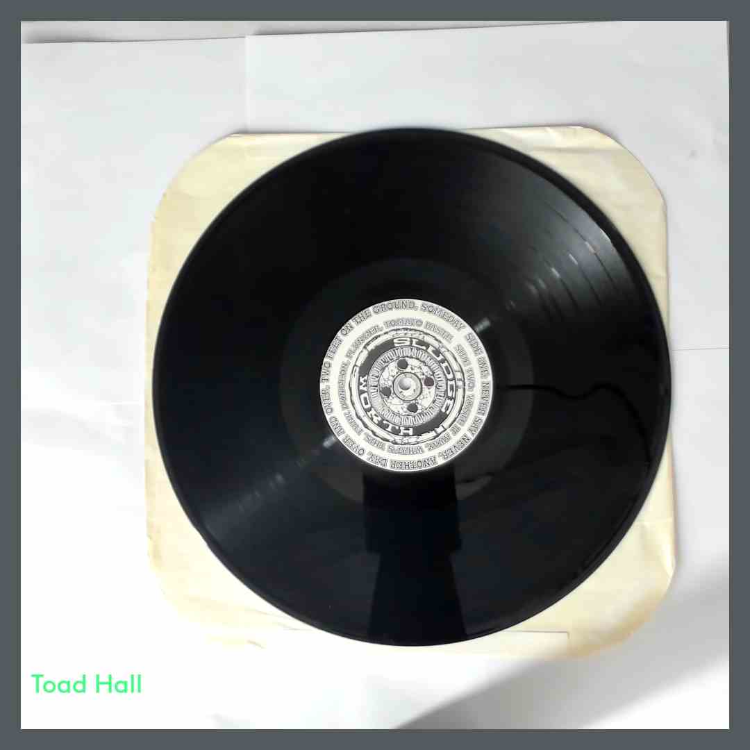 SLUDGEWORTH What's This Used Vinyl LP JFR002