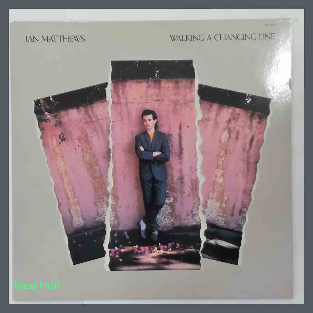 IAN MATTHEWS Walking A Changing Line Used Vinyl LP