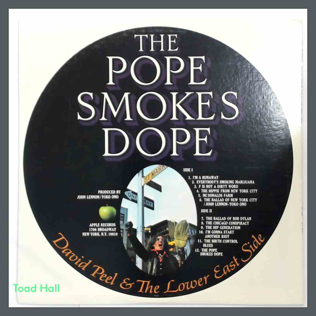 DAVID PEEL & THE LOWER EAST SIDE The Pope Smokes Dope Used Vinyl LP Sterling Press SW3391