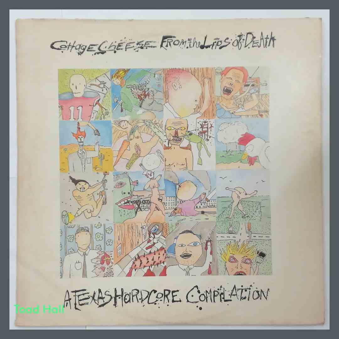 VARIOUS ARTISTS Cottage Cheese From The Lips Of Death Used Vinyl LP punk/hardcore