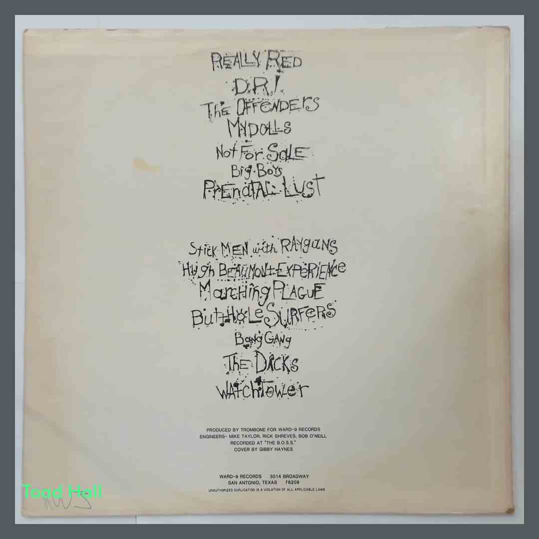 VARIOUS ARTISTS Cottage Cheese From The Lips Of Death Used Vinyl LP punk/hardcore