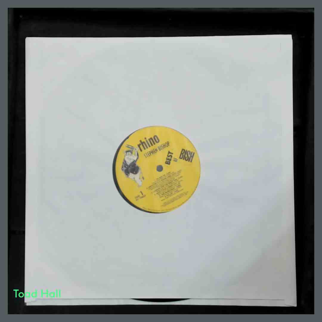 STEPHEN BISHOP Best Of Bish Used Vinyl