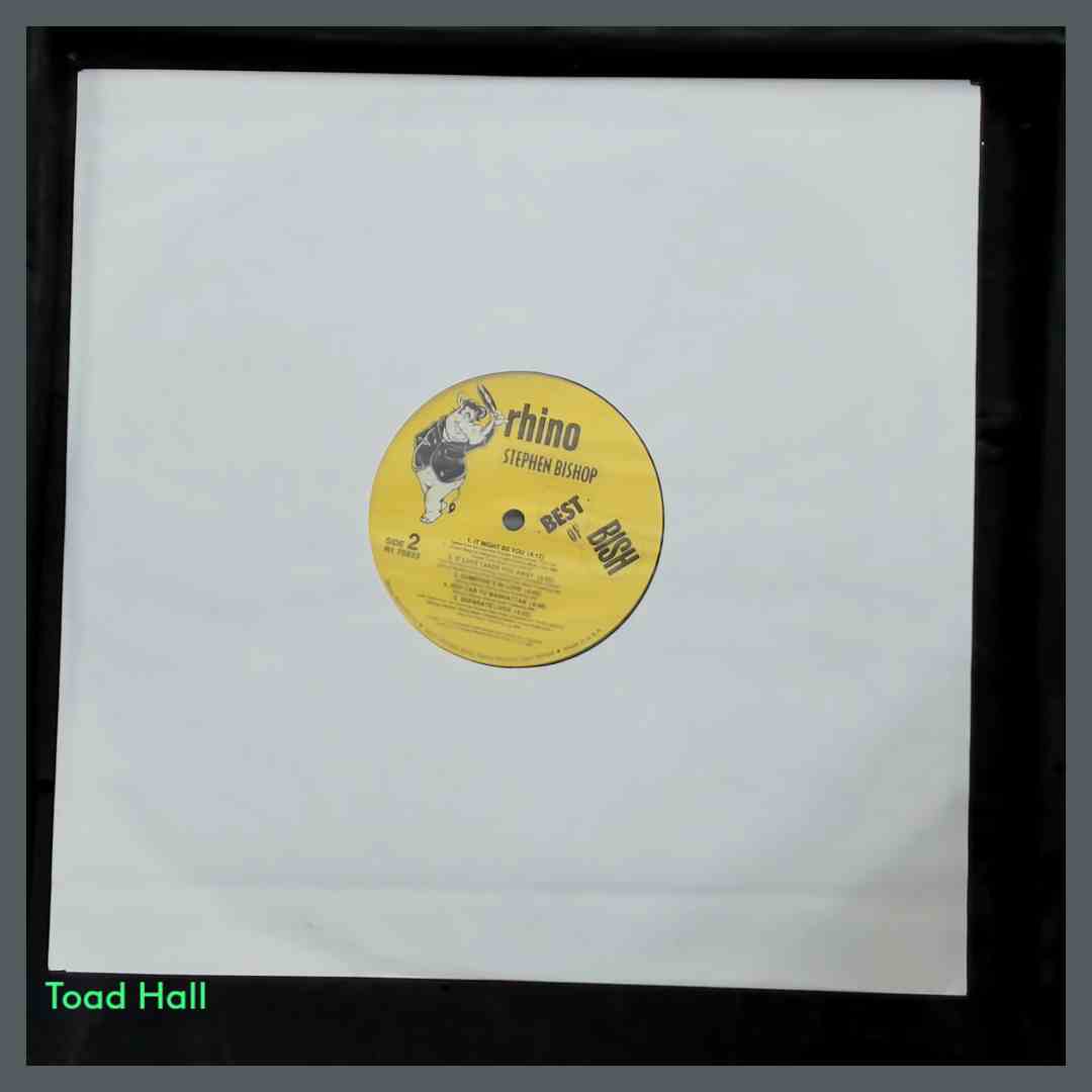 STEPHEN BISHOP Best Of Bish Used Vinyl