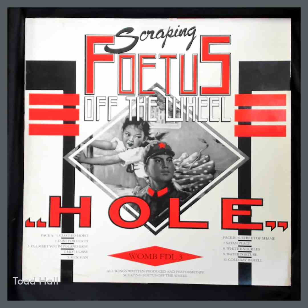 SCRAPING FOETUS OFF THE WHEEL Hole Used Vinyl LP (NO POSTER)
