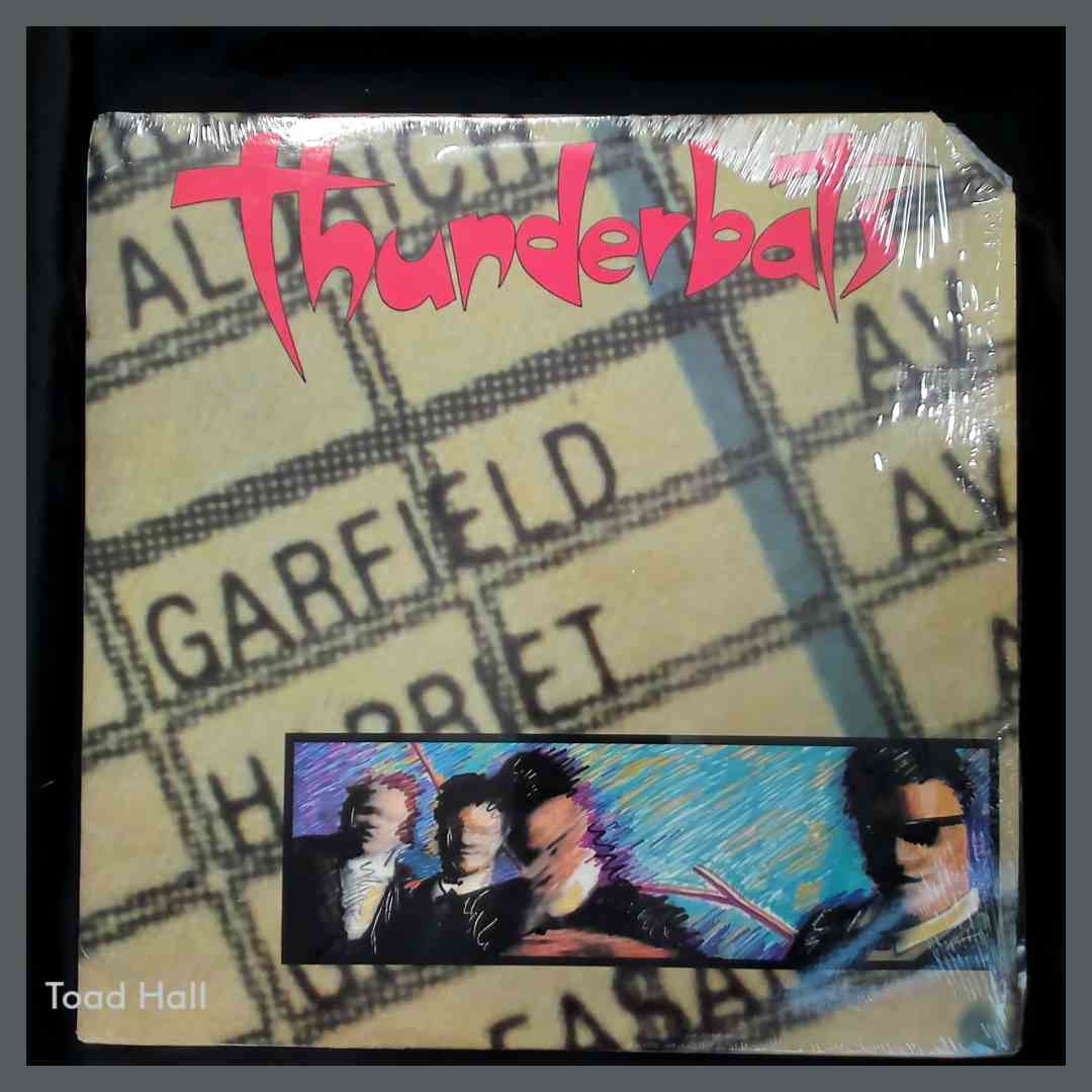 THUNDERBATS Garfield Ave Used Vinyl LP